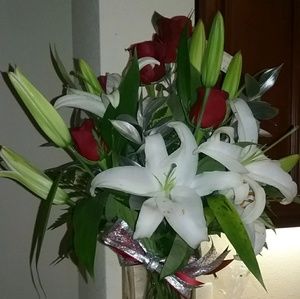 Meet your Posher, Mirjana